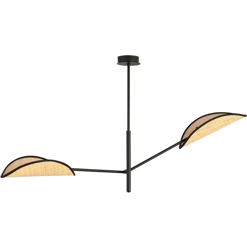2026_06_10_119073